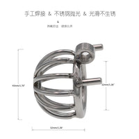 Chastity Lock Electric Shock Pulse Stainless Steel Penis Cage Wearing Out Bondage Anal Plug Adult Chastity Cock cage Chastity