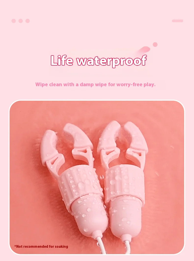 Personal Wellness Massager for Women – Multi-Function Clitoral Stimulator with 10 Vibration Modes, USB Rechargeable, Waterproof,